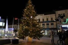 Mini IMG 5139
